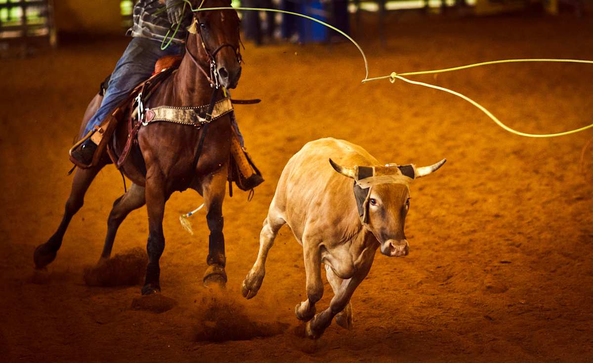 Stockyards Championship Rodeo