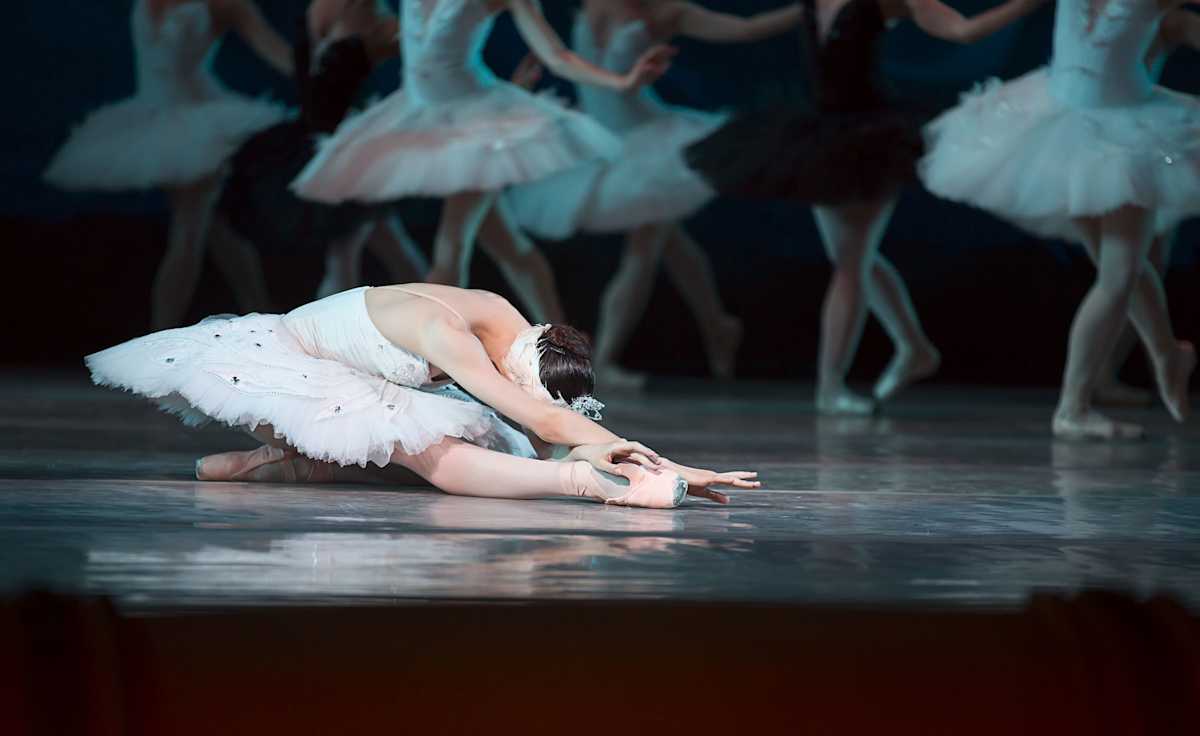 Swan Lake