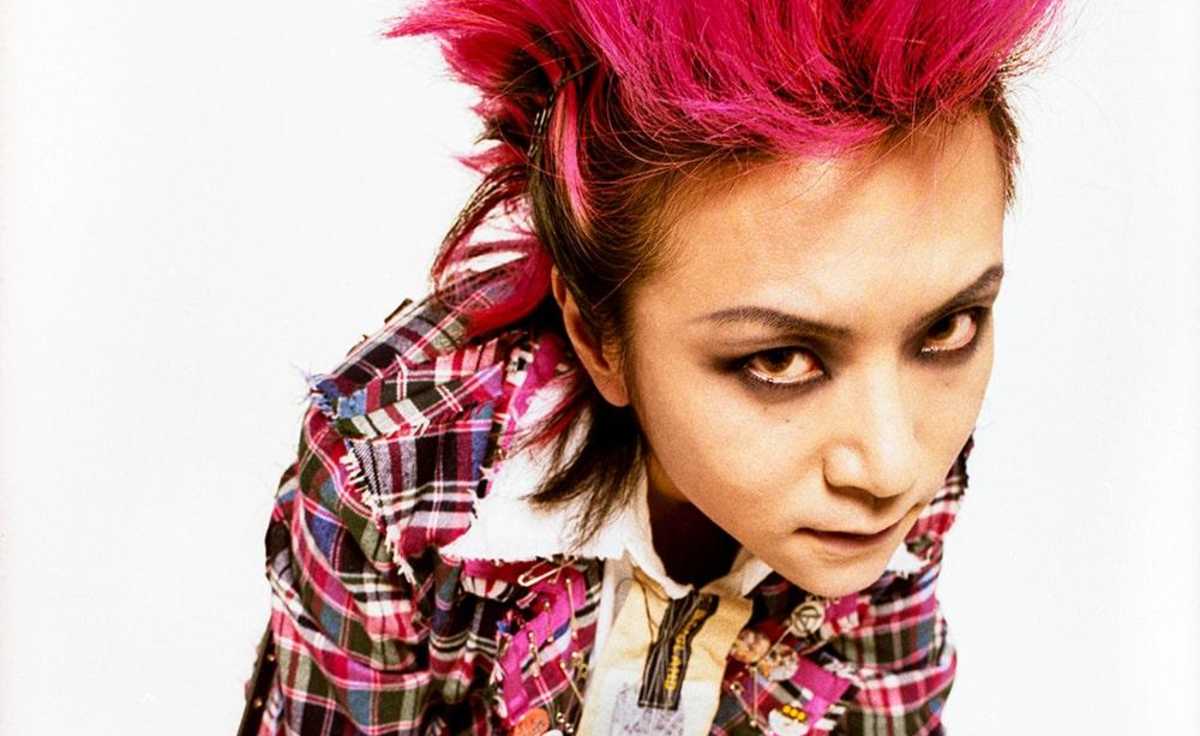 Hide