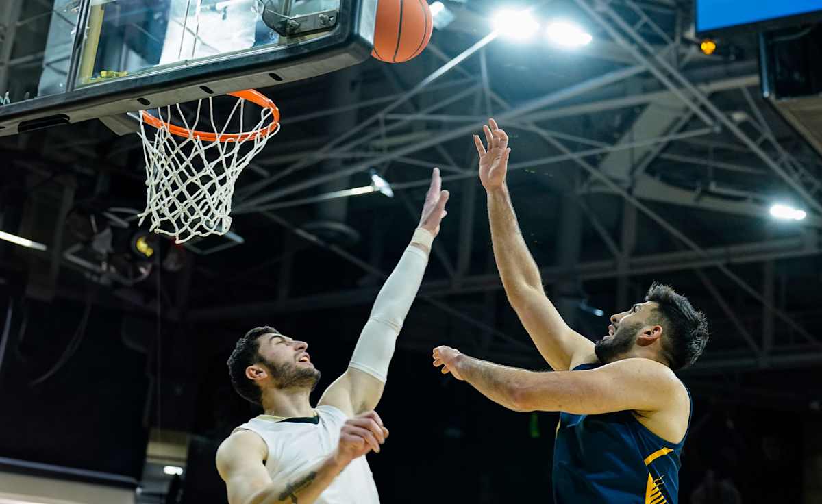 California Golden Bears Basketball