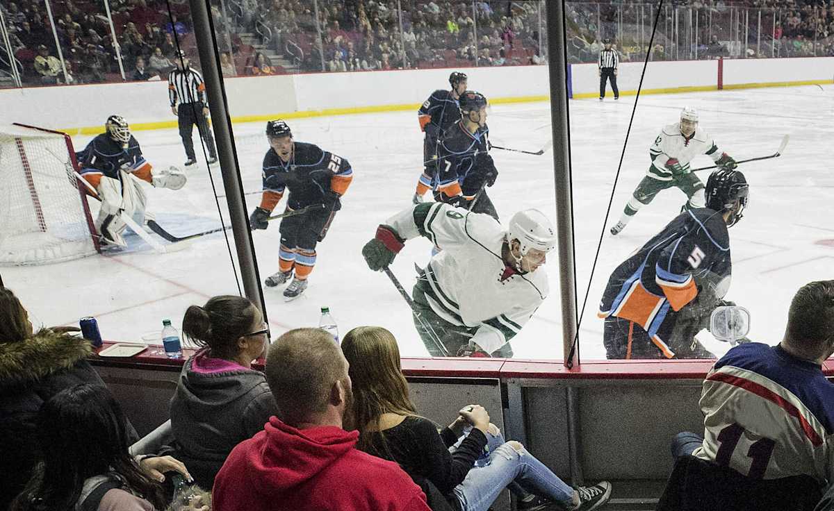 Iowa Wild