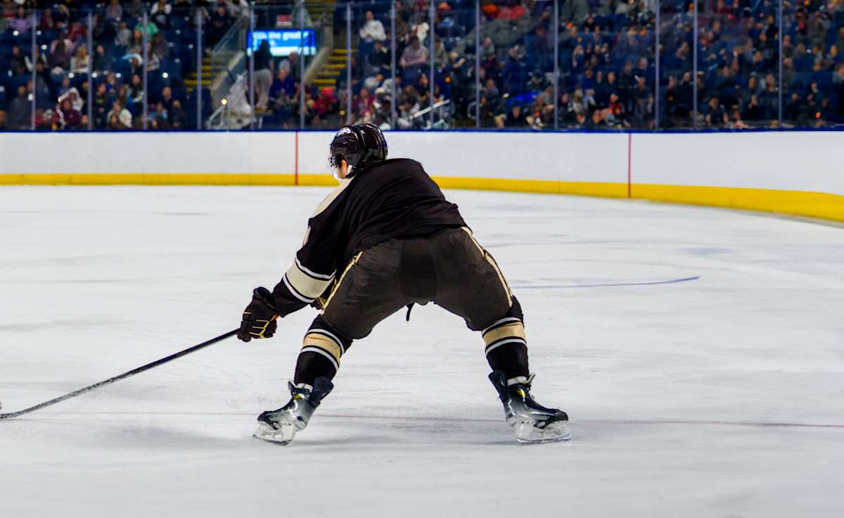 Hershey Bears
