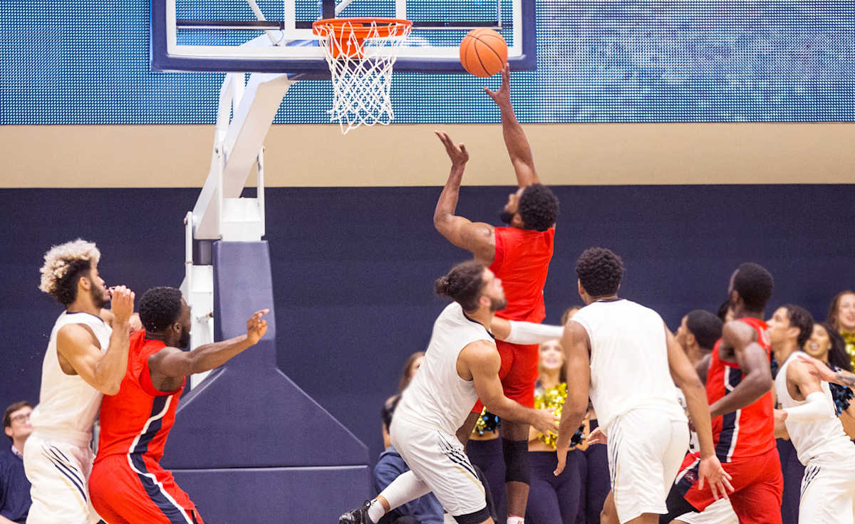 Stony Brook Seawolves Basketball