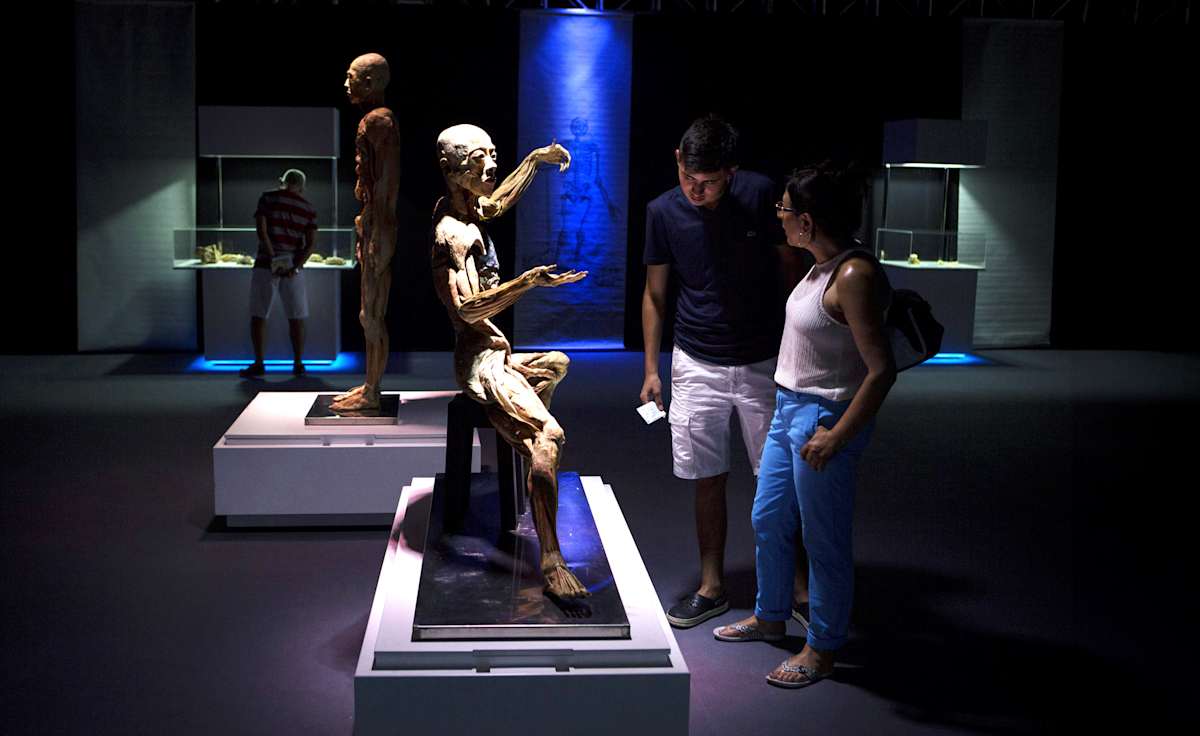 Bodies The Exhibition