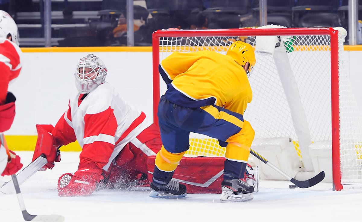 Nashville Predators