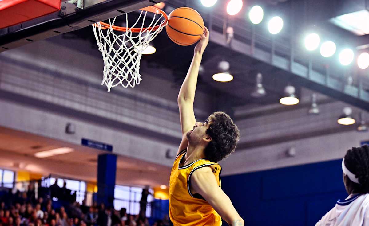 Towson Tigers Basketball