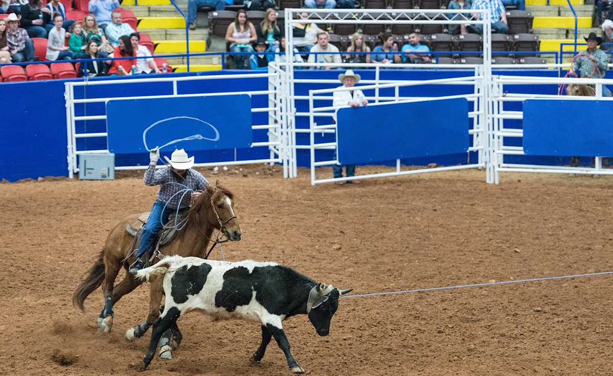 Rodeo Austin