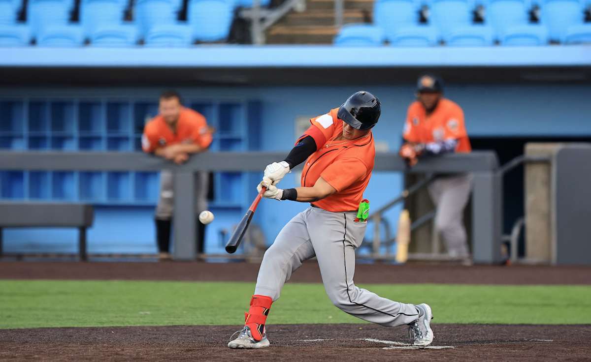 Long Island Ducks