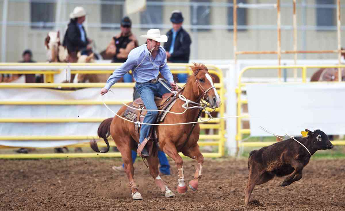 Greeley Stampede Rodeo