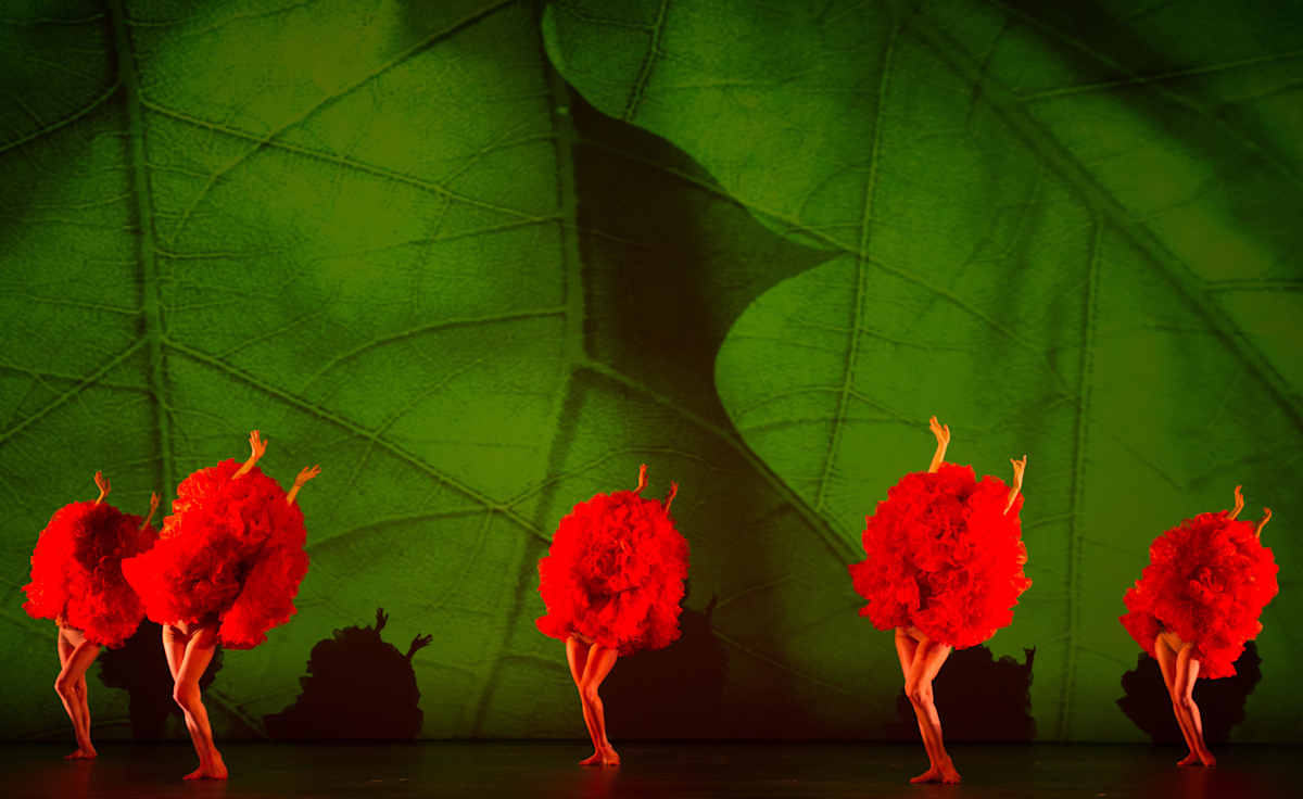 MOMIX - Alice