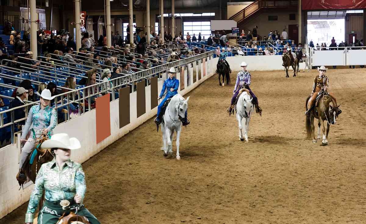Rodeo Scottsdale