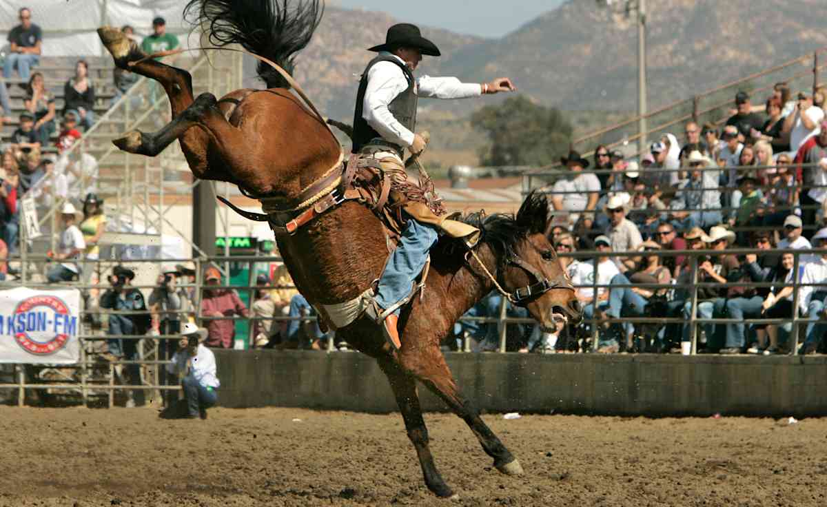 San Diego Rodeo