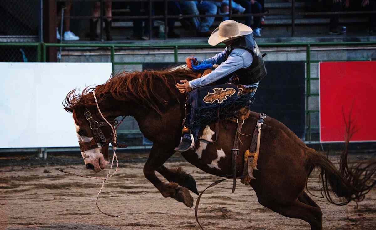 Jackson Hole Rodeo