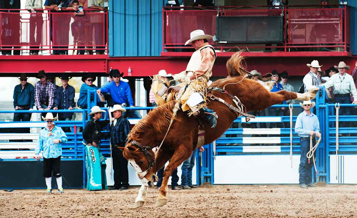 Tucson Rodeo