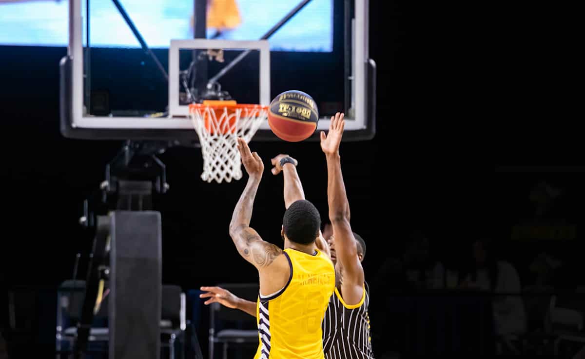 Edmonton Stingers