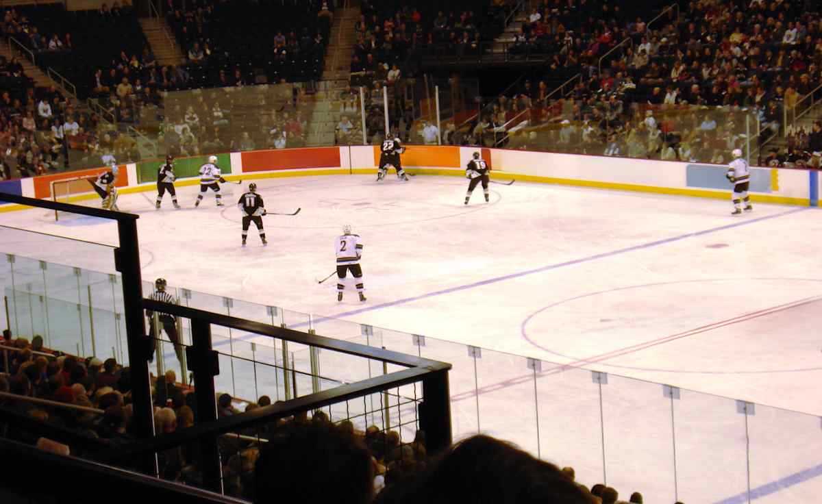 Manitoba Moose