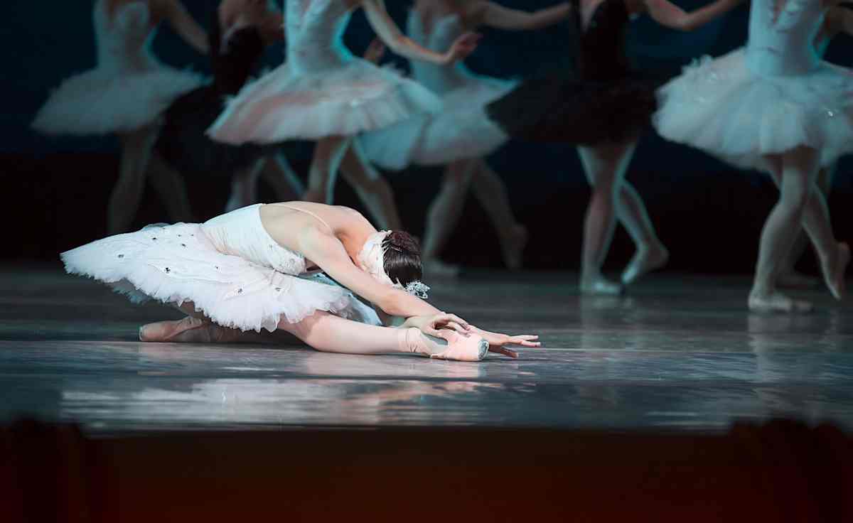 Swan Lake
