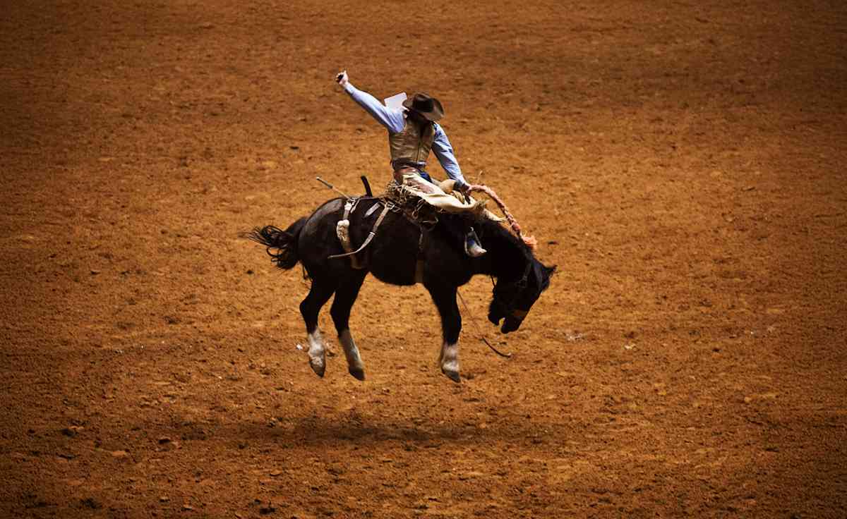 Fort Worth Stock Show and Rodeo