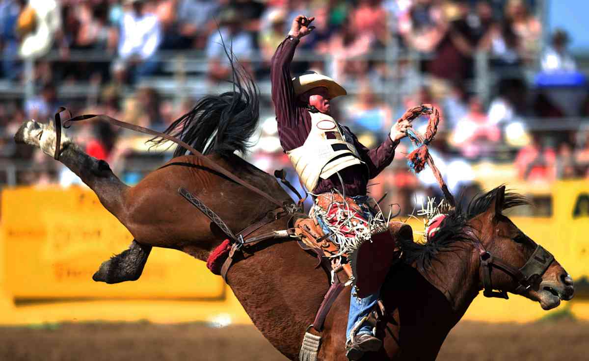 Pendleton Round Up