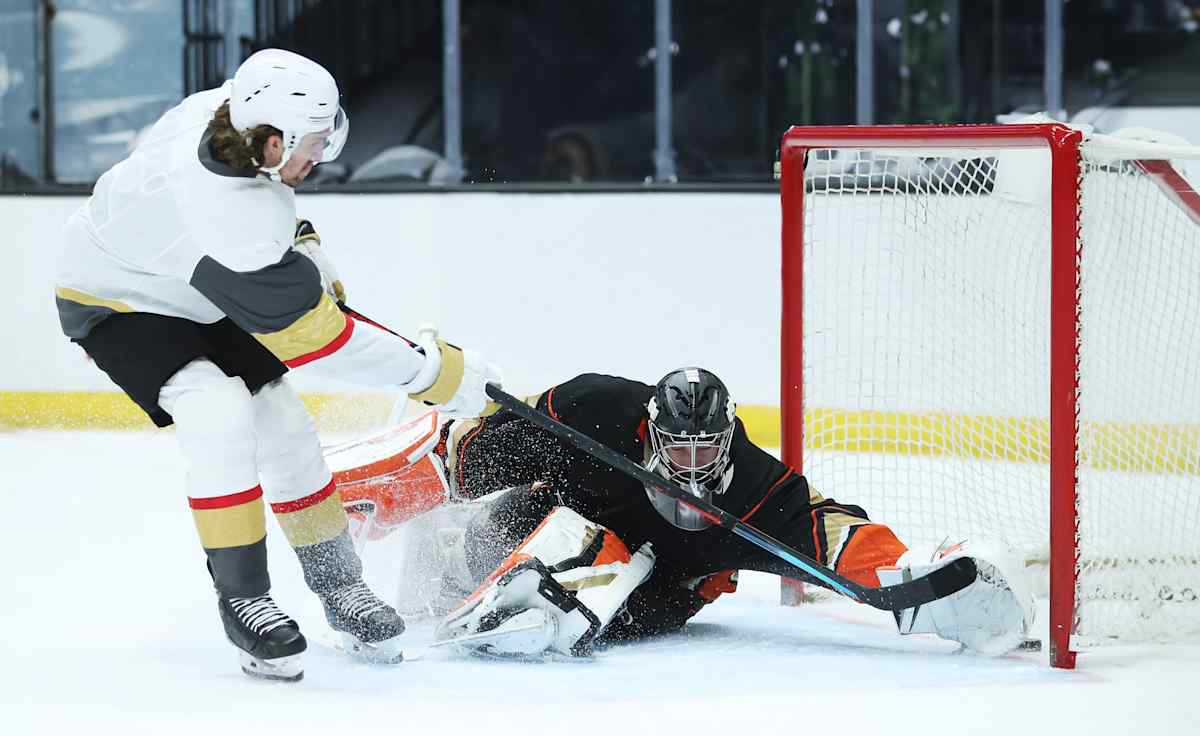 Vegas Golden Knights