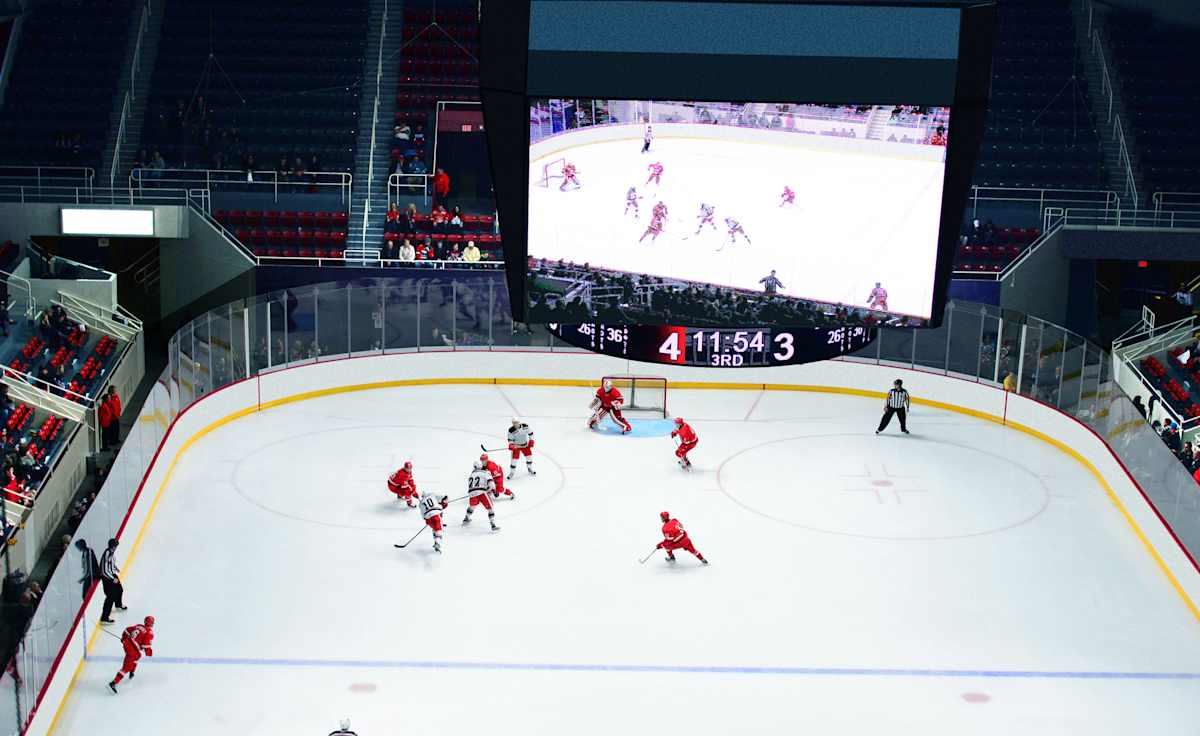 Grand Rapids Griffins