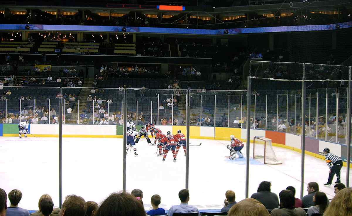 South Carolina Stingrays