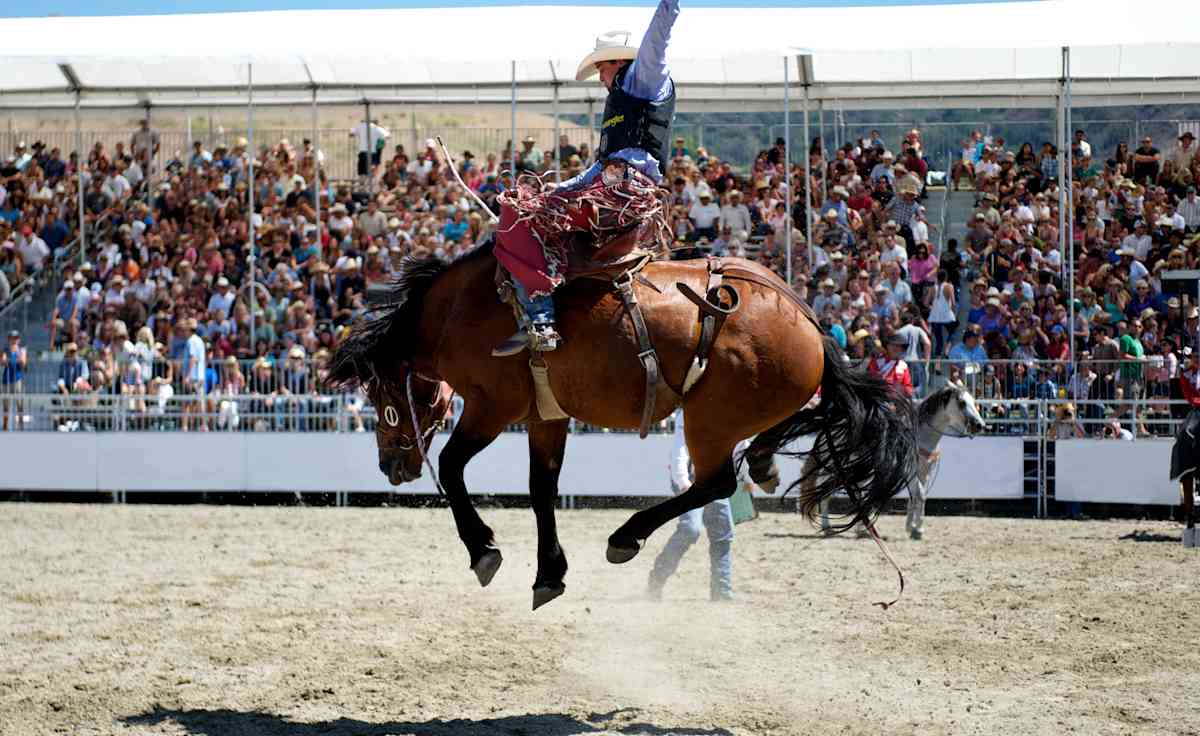 PRCA Championship Rodeo