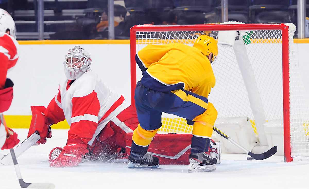 Nashville Predators