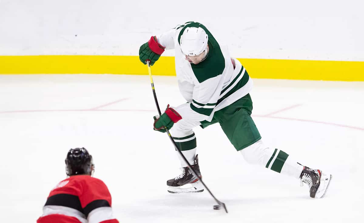 Minnesota Wild
