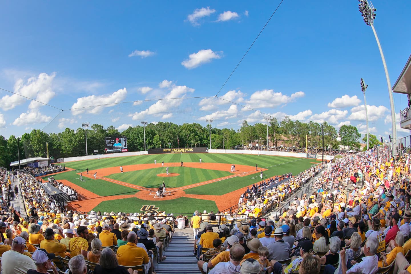Southern Miss Golden Eagles Baseball Tickets Buy or Sell Southern