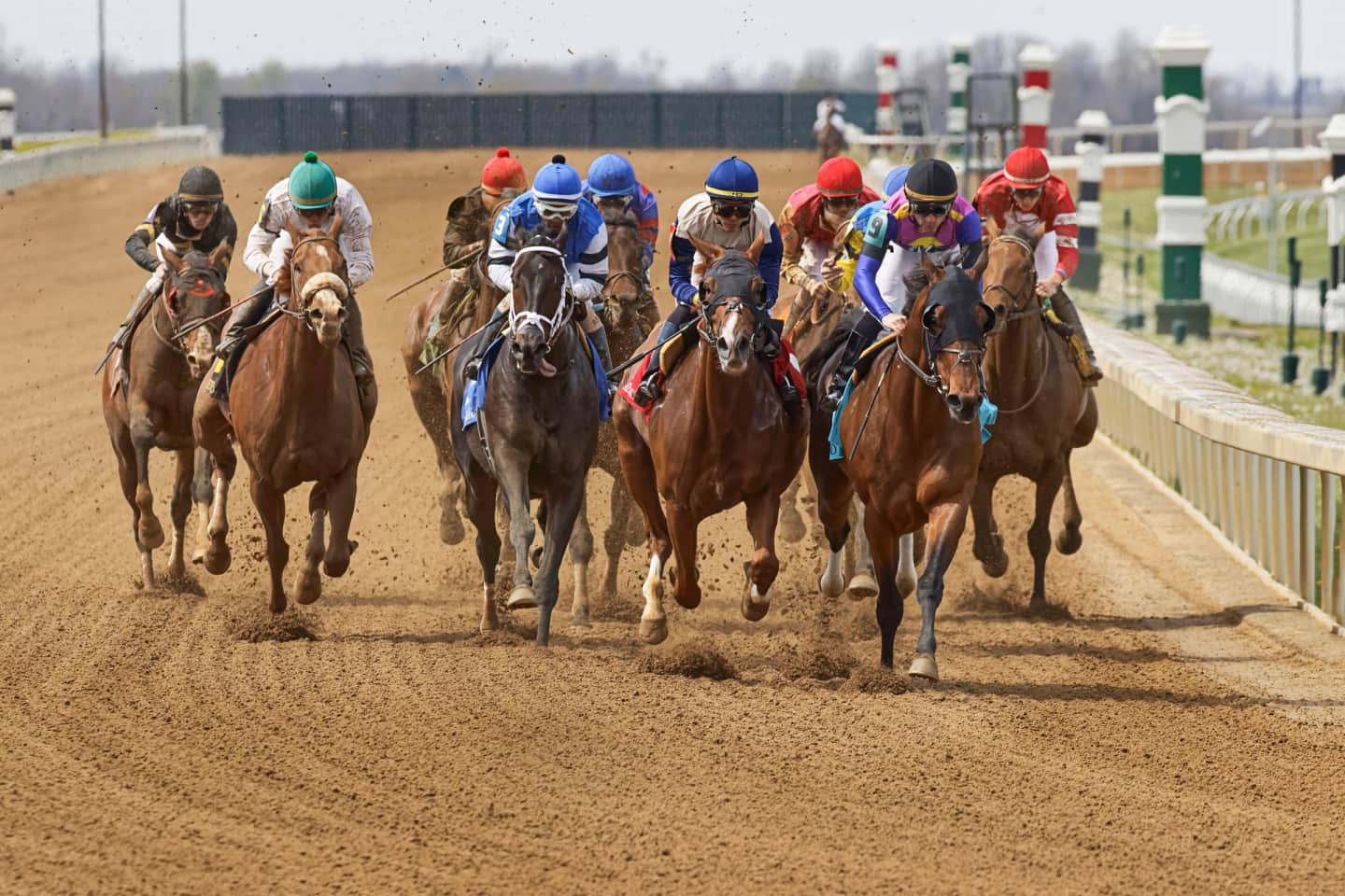 Keeneland Race Meet Tickets Buy or Sell Keeneland Race Meet Tickets