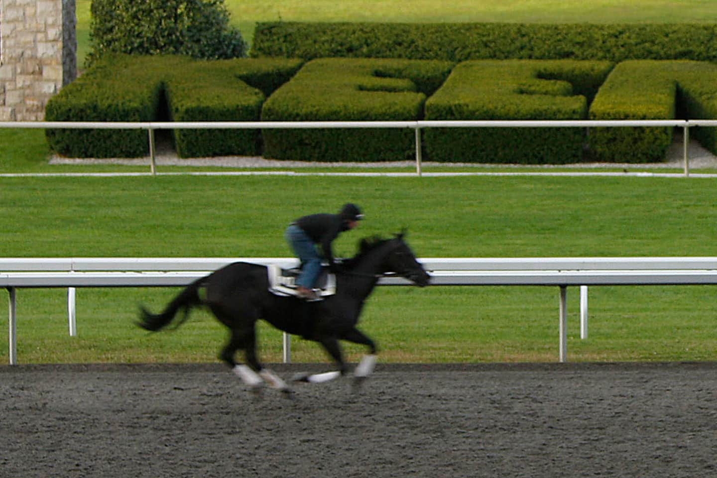 Keeneland Fall Race Meet Tickets Buy or Sell Keeneland Fall Race Meet