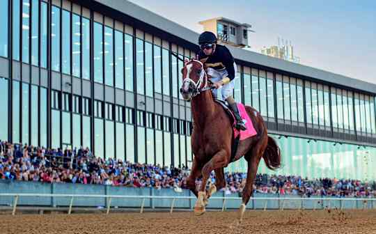 2026 Arkansas Derby Image