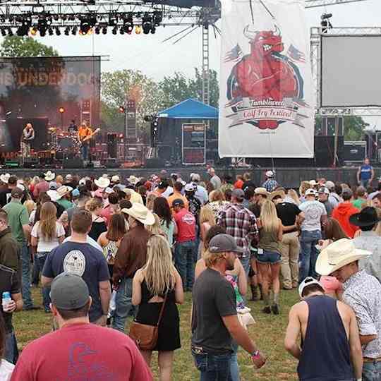 2026 Calf Fry Music Festival - Thursday Image