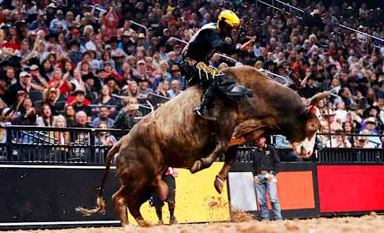 PBR: Teams Series