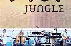Jungle Tickets