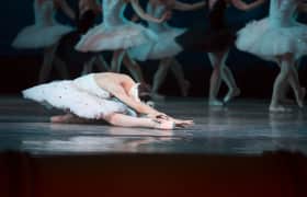Swan Lake Tickets