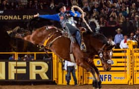 National Finals Rodeo Tickets StubHub