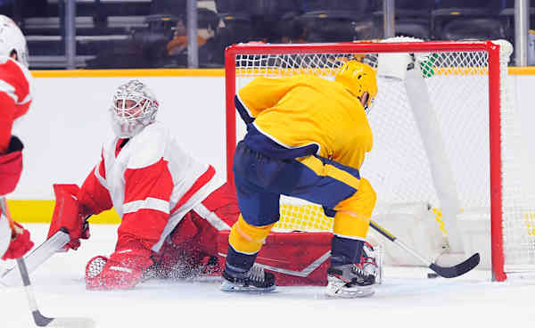 Nashville Predators Tickets - StubHub