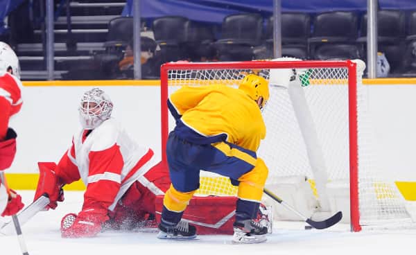 Nashville Predators Tickets - StubHub