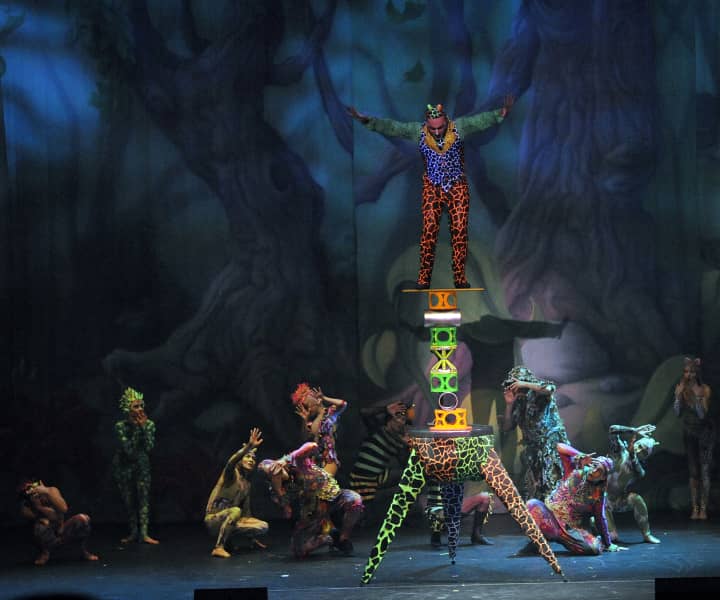 Stubhub new arrivals hamilton proctors