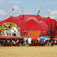 OUTER - circus circus