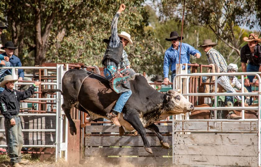 Dixie National Rodeo Tickets StubHub