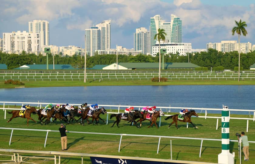 Pegasus World Cup Tickets StubHub