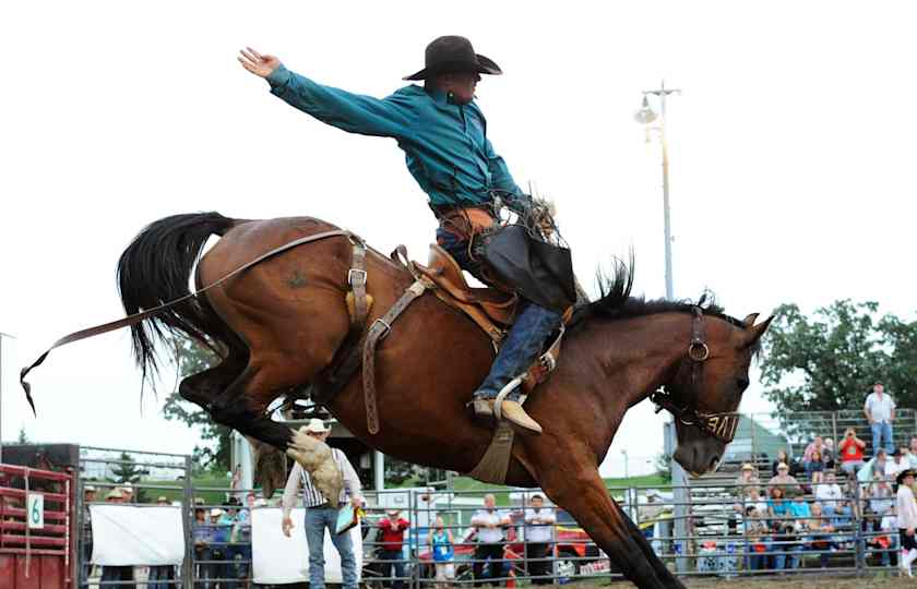 Hamel Rodeo Tickets - StubHub