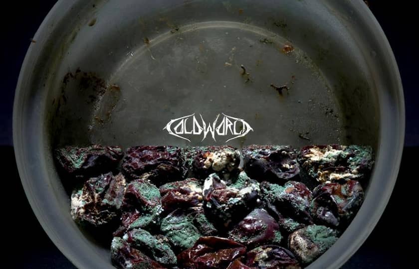 Cold World Tickets Cold World Concert Tickets and Tour Dates StubHub