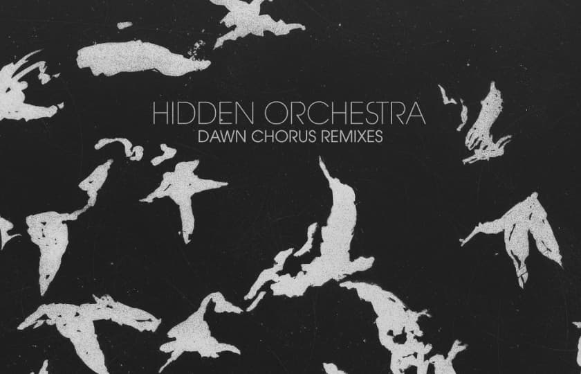 Dawn chorus. Dawn chorus. Chorus down. Dawn chorus mikko. Dawn chorus rune.