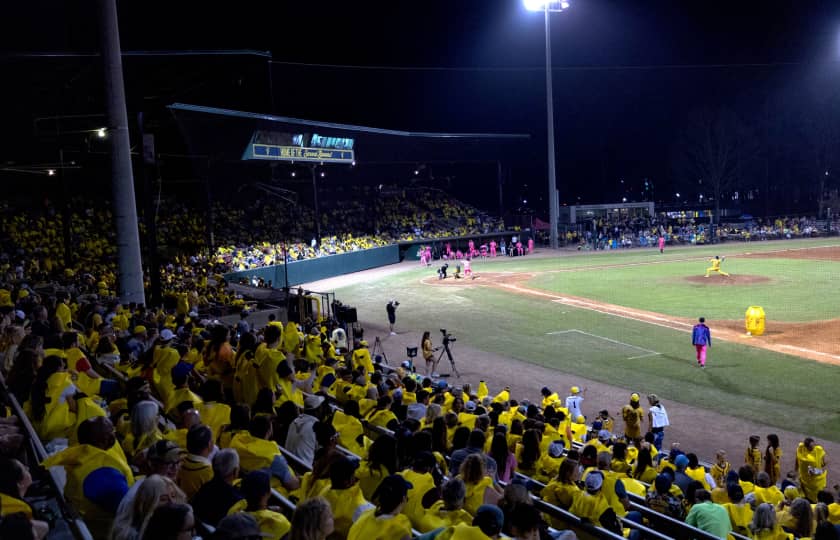 Savannah Bananas Tickets StubHub