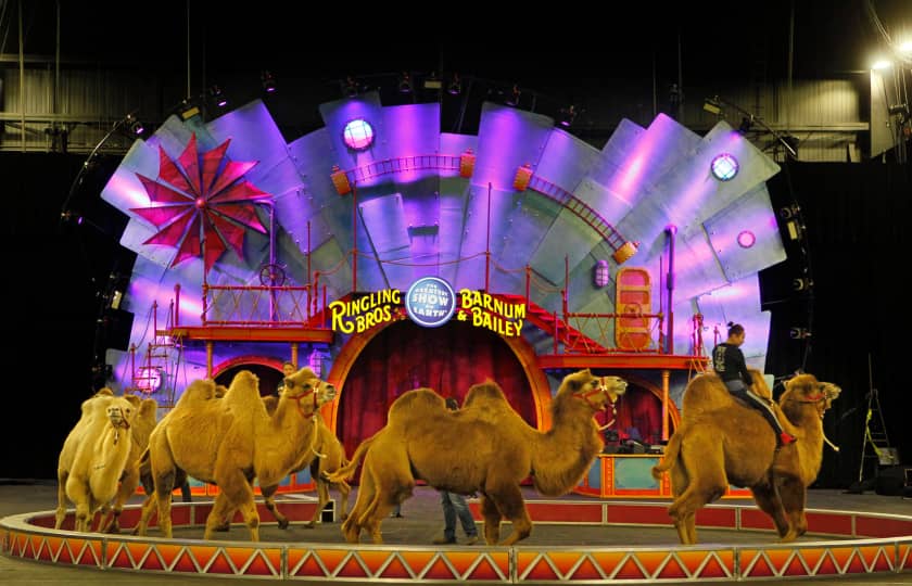 Ringling Bros and Barnum & Bailey Circus Nashville Tickets StubHub
