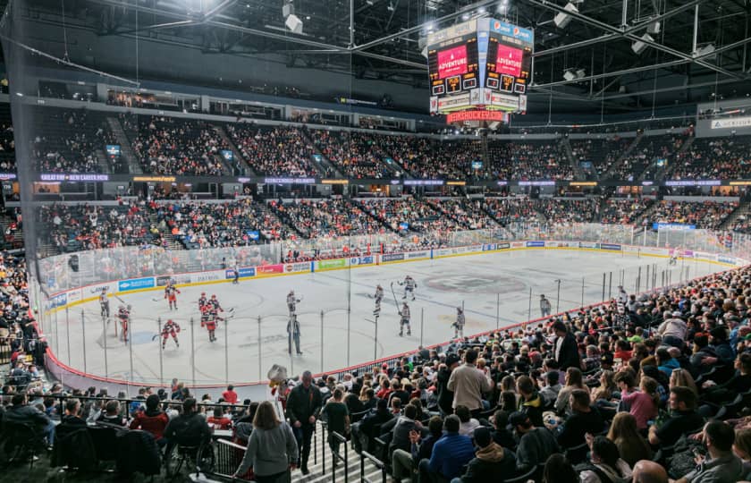 Grand Rapids Griffins